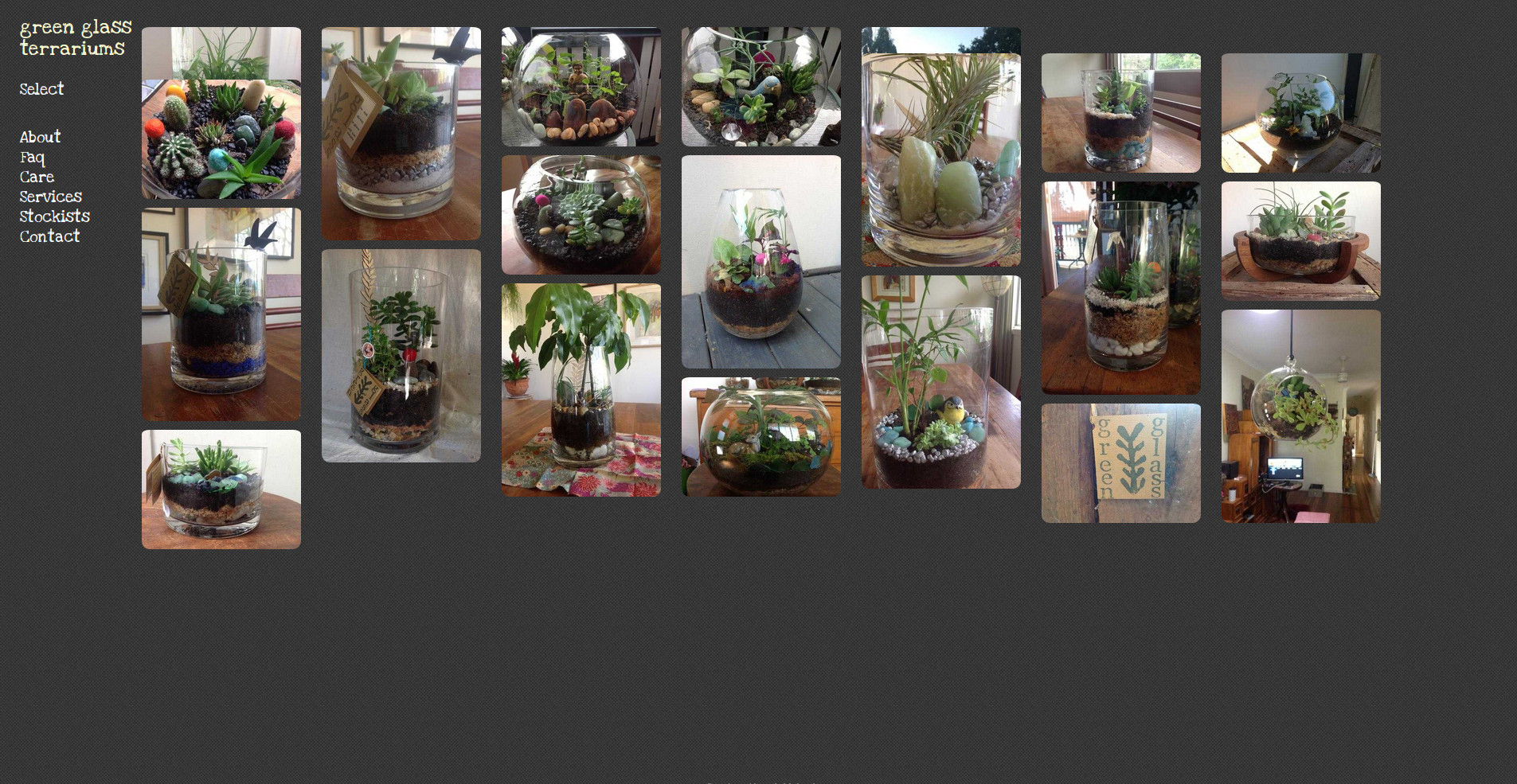 www.greenglass-terrariums.com www.greenglass-terrariums.com